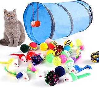 cat accessories amazon