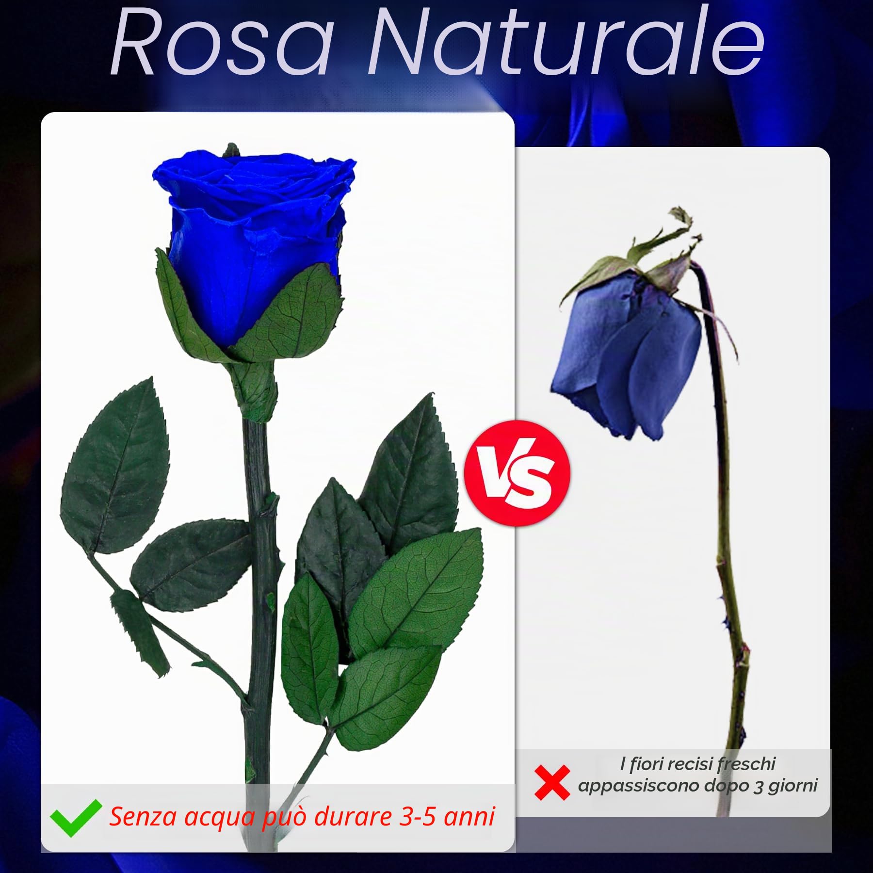 CSYY Infinity Rose, Blu Rosa Stabilizzata Vera con Steli Rosa Eterna Festa della Mamma Regalo per Mamma Fiori Stabilizzata Regalo