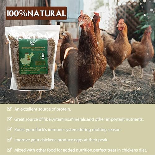 Miniatura 5 de Black Soldier Fly Larvaeis, 5 libras, 100% natural, tamaño grande, sin humedad, gusano de harina para pájaros, pollos, erizo, hámster, pez, reptil,