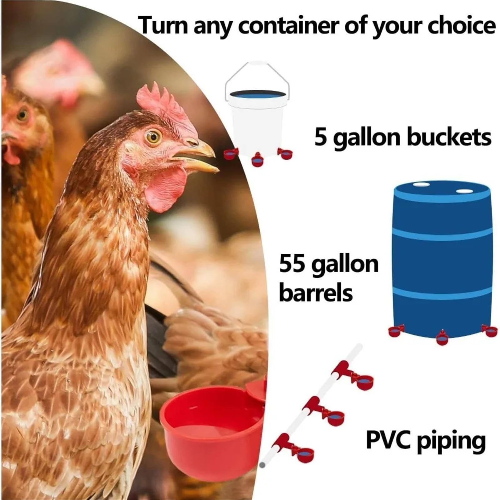 Abbeveratoio for pollame, tazza automatica for pollo