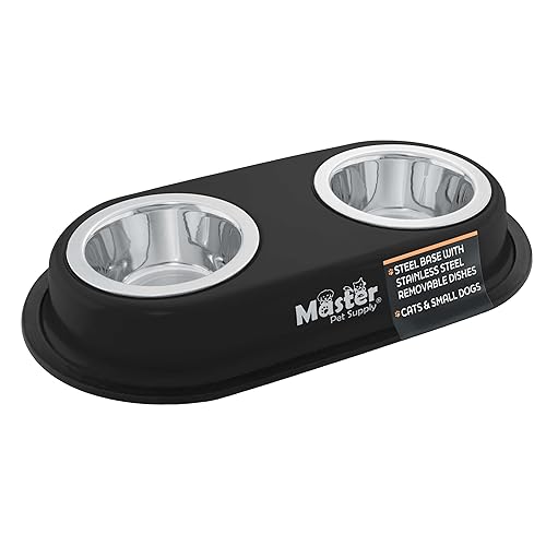 Master Pet Supply Double Dog Bowls Set with Elevated Base