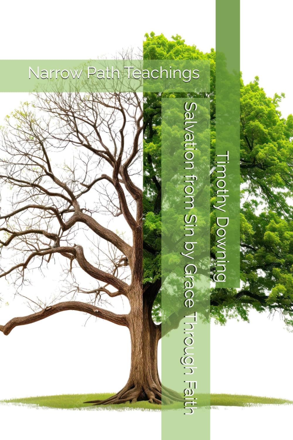 Salvation from Sin by Grace Through Faith (Narrow Path Teachings)