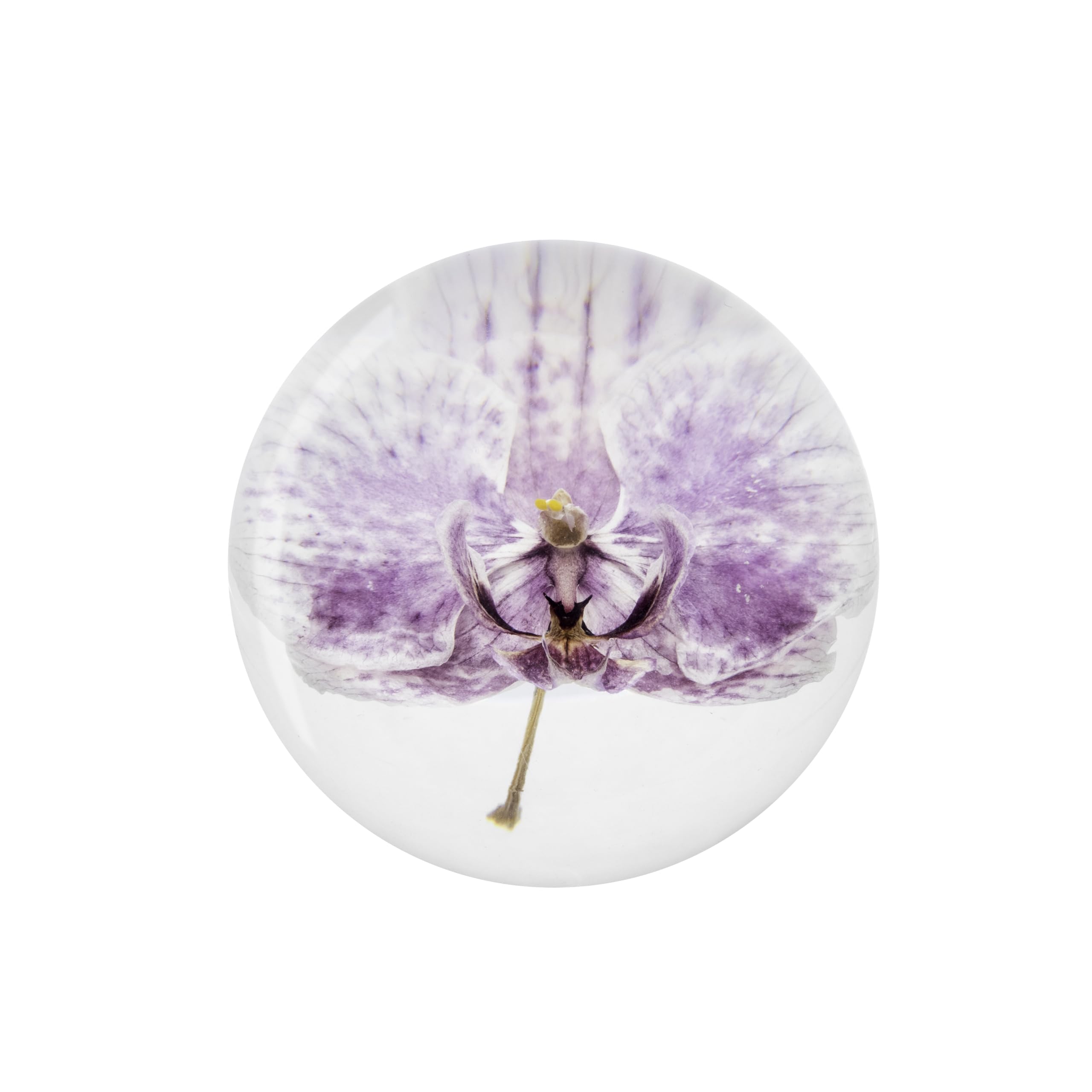 NouvoCrescent Real Purple Orchid Paperweight - Home Decor Crystal Resin Ball 3.14in (80mm) - Clear Resin Purple Orchid Flower Globe for Special Days - Sphere Figurine Office Paperweight w/Flat Bottom