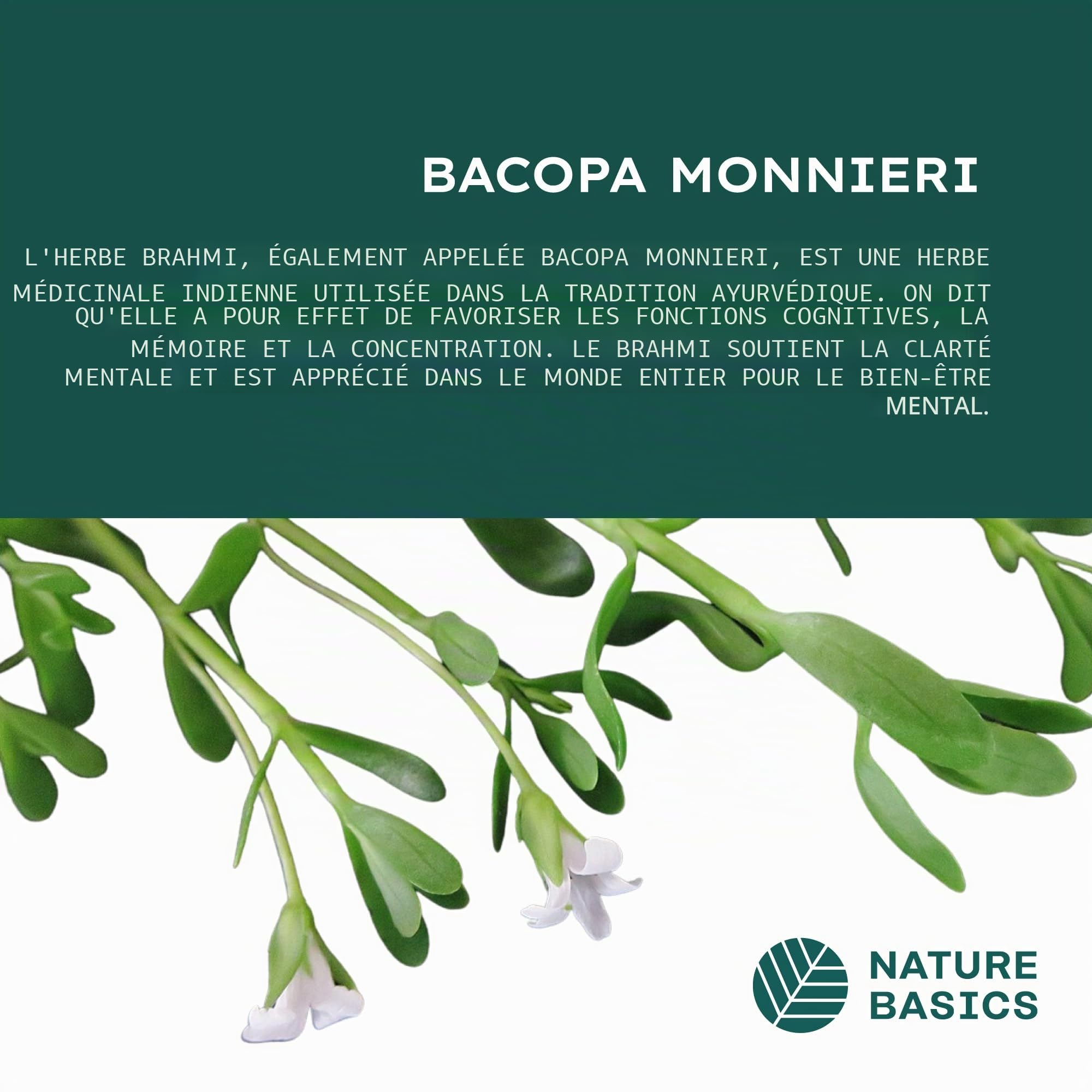 Nature Basics® Brahmi bio en bocal | 180 gélules végétaliennes - 3 mois d'approvisionnement | 1.000mg de poudre de brahmi bio par dose journalière | Neutre en CO