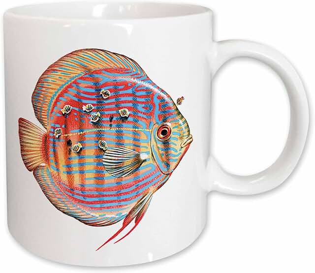 Discus Fish Coffee Mugs