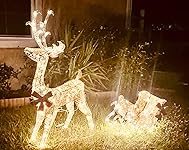 Review Image by David David