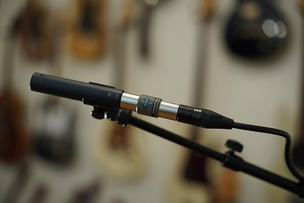 TRITON FetHead Phantom マイクプリアンプ Amazon.com: TRITON AUDIO FetHead Phantom In-Line Microphone