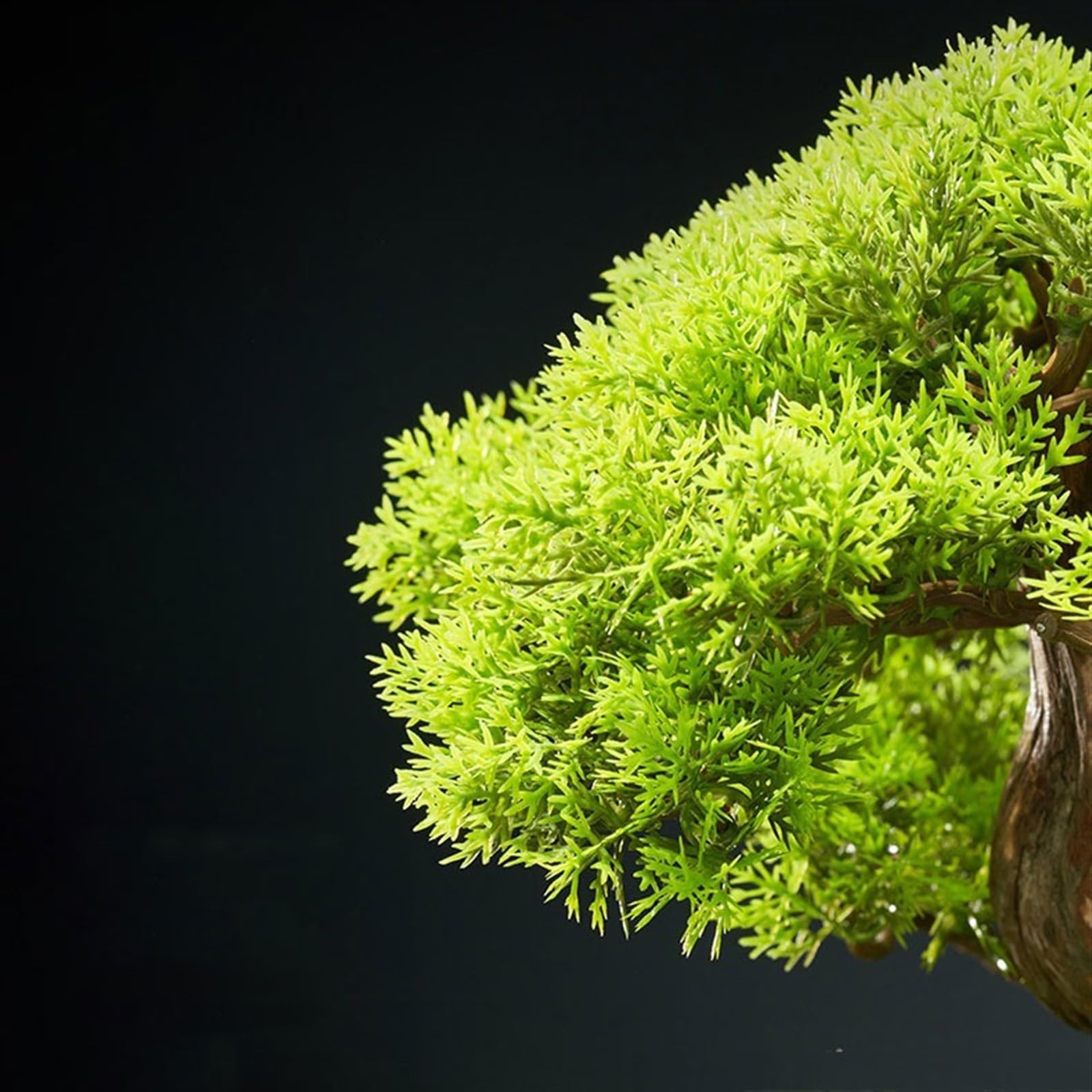 Fałszywe drzewo Zielone sztuczne drzewo dekoracje wejściowe chiński zen symulacja wnętrza ozdoby bonsai Wystrój wnętrz