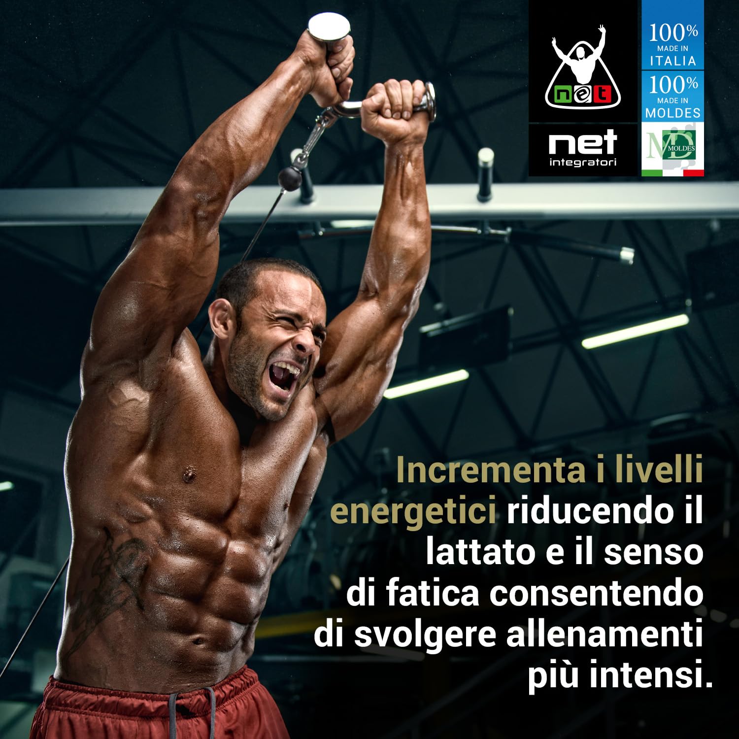 Net Integratori Citrullina Malato 1250 – 180 g Neutro – Integratore Pre Workout per Ossido Nitrico e Pump Muscolare – Massima Resistenza Fisica Energia e Recupero
