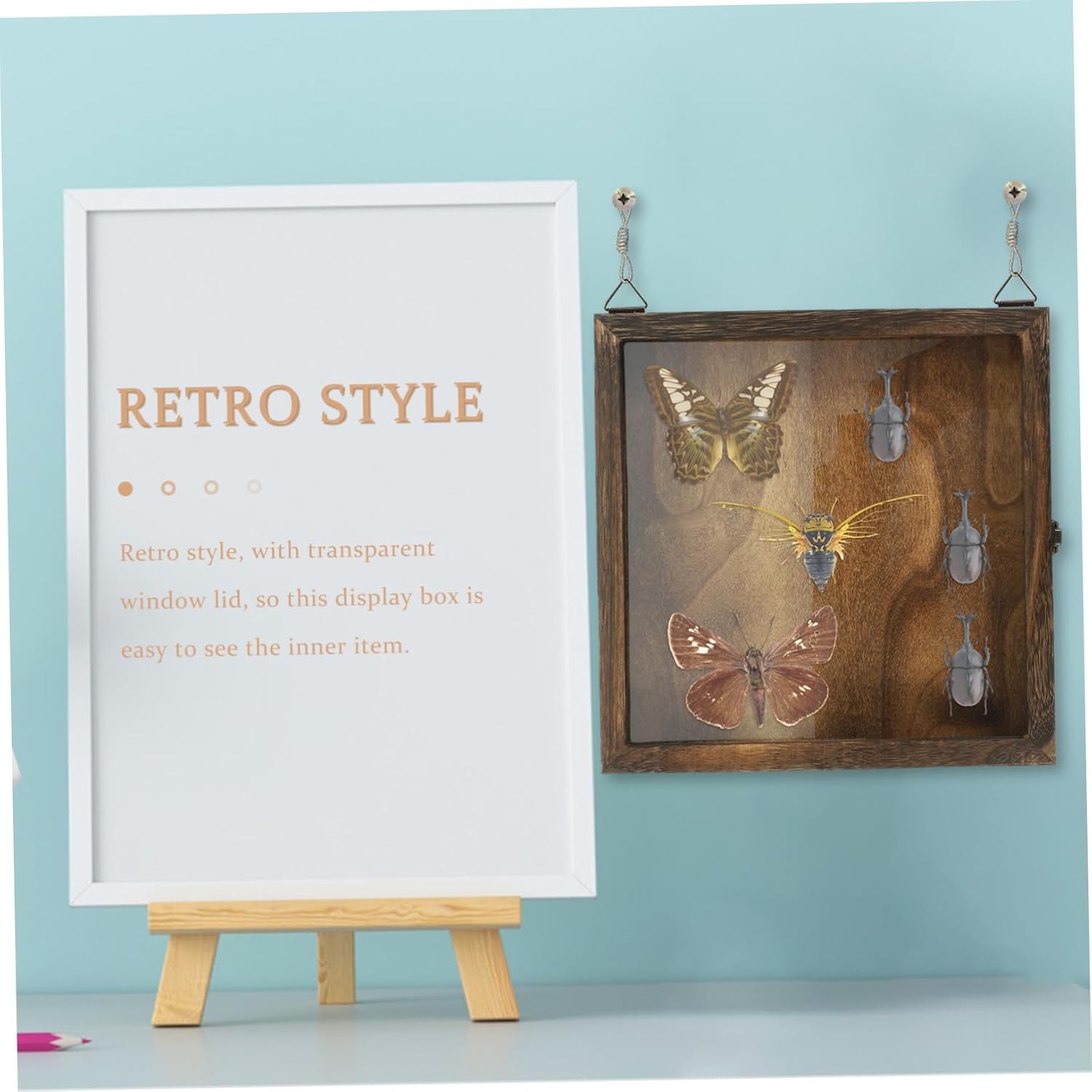 Unomor Butterflies Display Case Specimen Container Specimen Collection Box Indoor Style