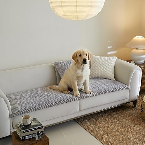 Vista 30 de Fundas de sofá para sofá de 3 cojines, aptas para mascotas, funda de sofá antideslizante lavable Sg-gris claro