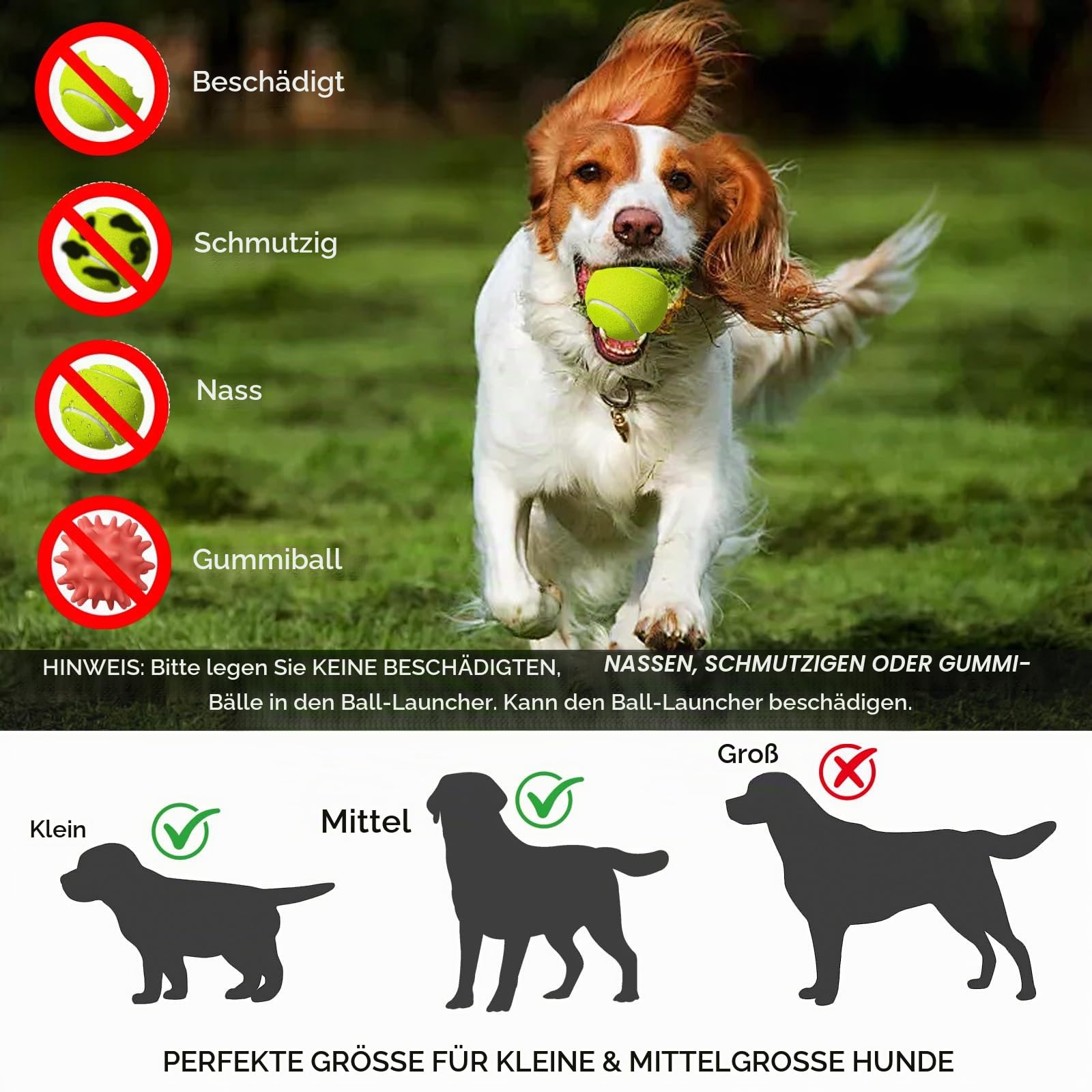 HAMON Automatischer Ballwerfer für Hunde, Ballwurfmaschine Hund mit 6 Pcs Tennisbälle, Interaktive Ballmaschine für Kleine und Mittlere Hunde, Wurfweite zwischen 10-30 FT