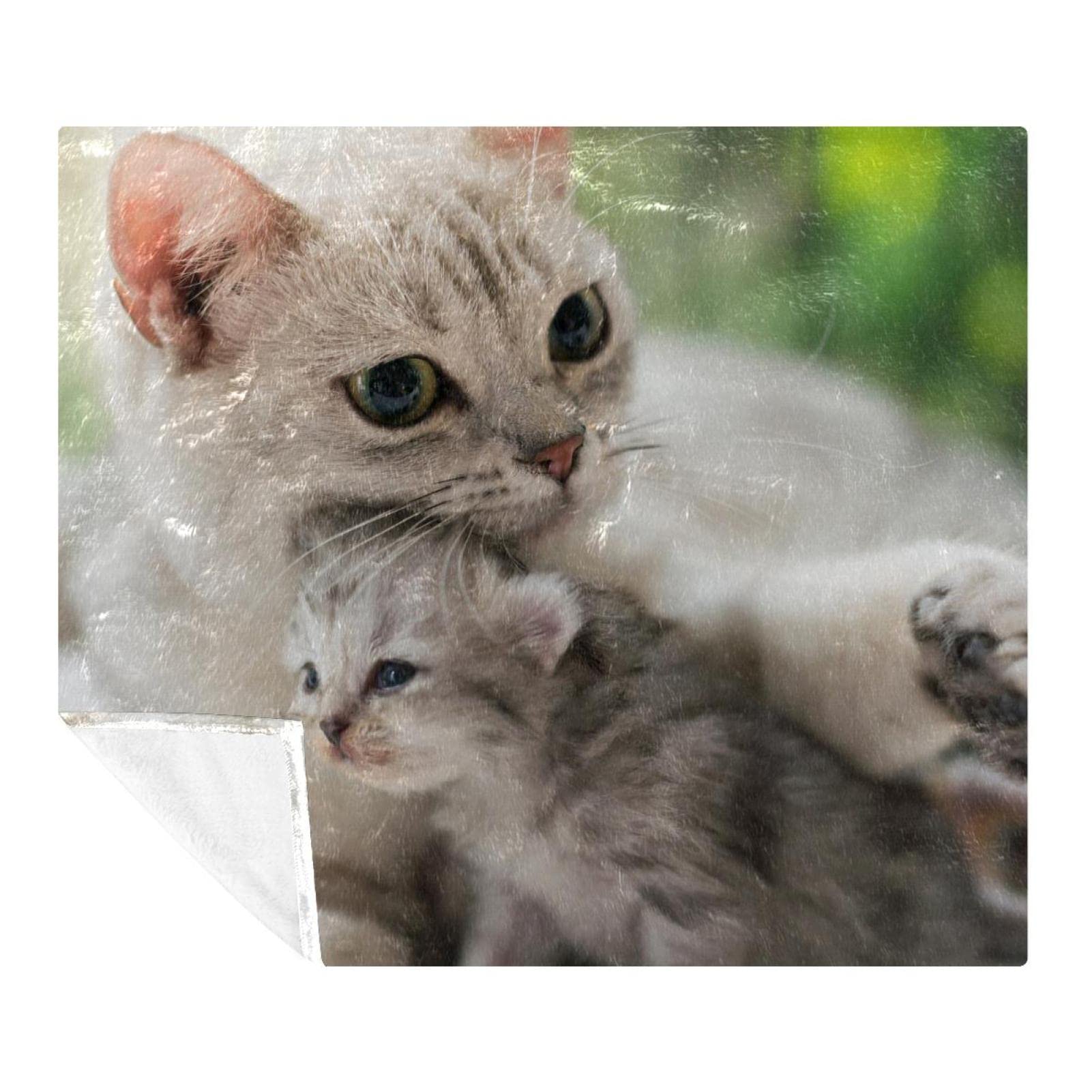 Couverture polaire chat pour créer un nid douillet dans la chambre