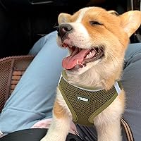 Vista 20 de YIMEIS - Juego de arnés y correa para perro, arnés de malla suave sin tirones, chaleco reflectante ajustable para cachorros, para perros pequeños