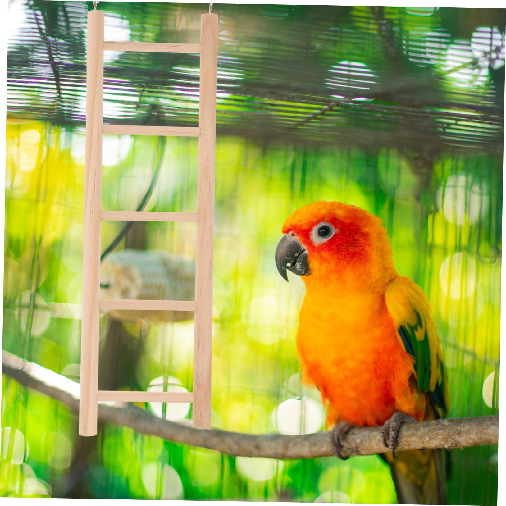 Levemolo Parrot Climbing Rope Hamster Bridge Toy Bird Toys for Parrots Parakeet Toys Parrot Climbing Playthings