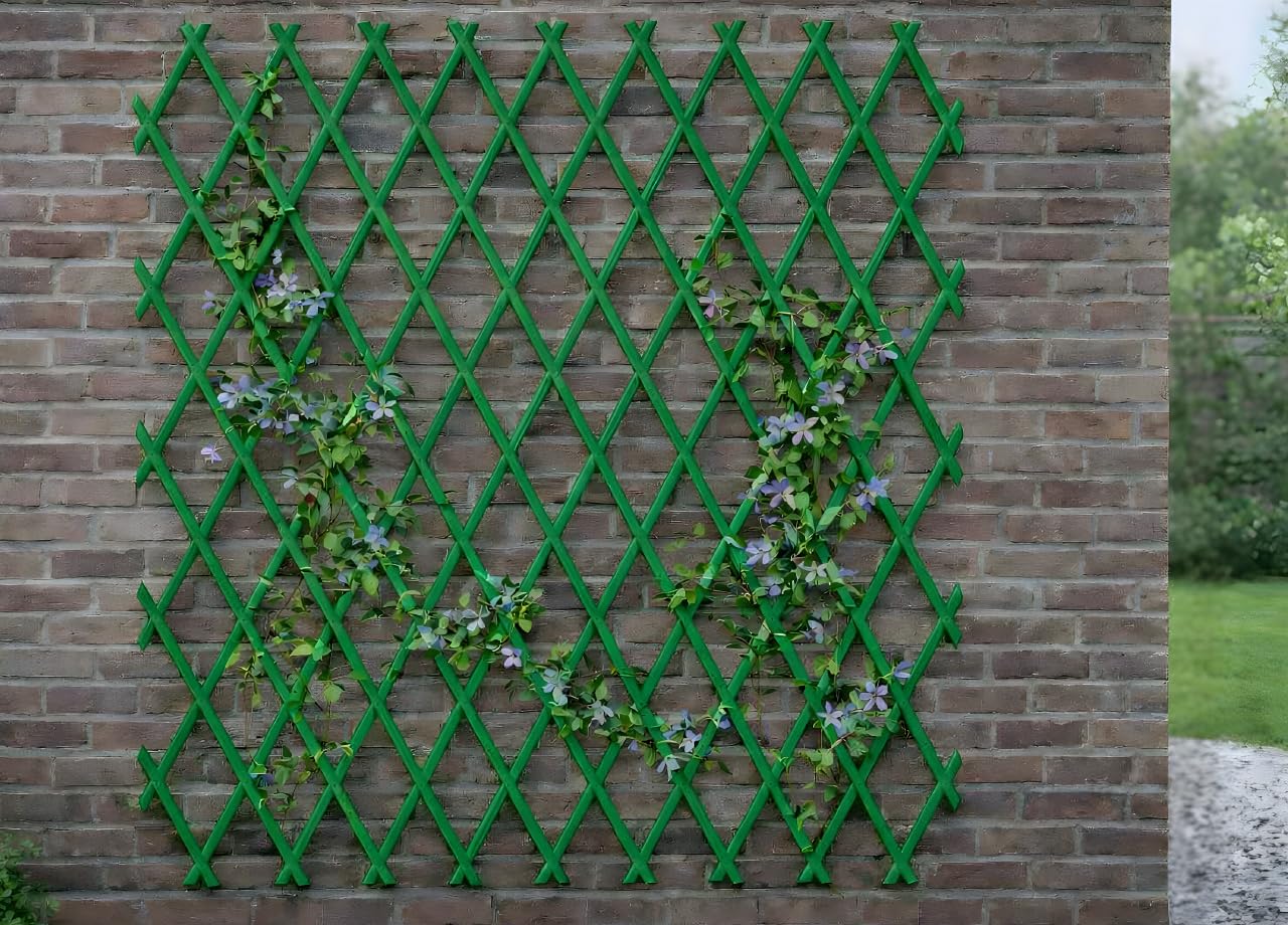 BIANCHERIAWEB Traliccio Estensibile in PVC per Piante Rampicanti Recinzione Giardino Balcone 100x200 Verde
