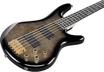Amazon.com: Ibanez GSR205PC GIO 5-String Bass Guitar, Purpleheart
