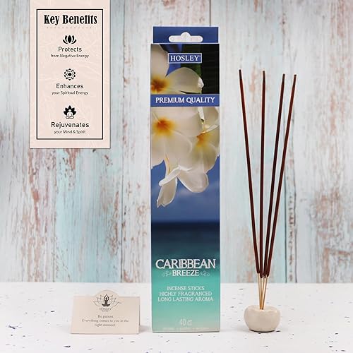 Miniatura 4 de Hosley Caribbean Breeze - Varillas de incienso 240 unidades de varillas de fragancia infundidas con aceites esenciales, aroma de larga duración para