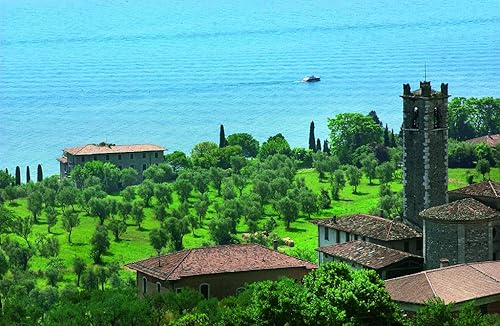 Miniatura 2 de Garda D.O.P. Aceite de oliva virgen extra italiano 100%  Aceite de oliva de alta calidad  17 onzas líquidas (16.9 fl oz) (paquete de 3)