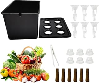 Hydrokultur-Pflanzsystem, komplettes Set, Haushalt, Garten, Indoor-Hydrokultur-Setzlingbehälter, für Gemüse, Salat, Balkon, Parterre, Hotel, Wohnung