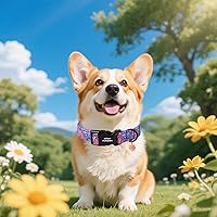 Vista 82 de Unique Style Paws - Collar rosa con hebilla de metal, duradero y lindo para perros pequeños a grandes