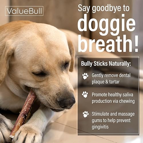 Miniatura 5 de ValueBull Bully Sticks para perros, medianos de 6 pulgadas, paquete a granel de 100 unidades, golosinas naturales para perros, 100% pizzas de carne