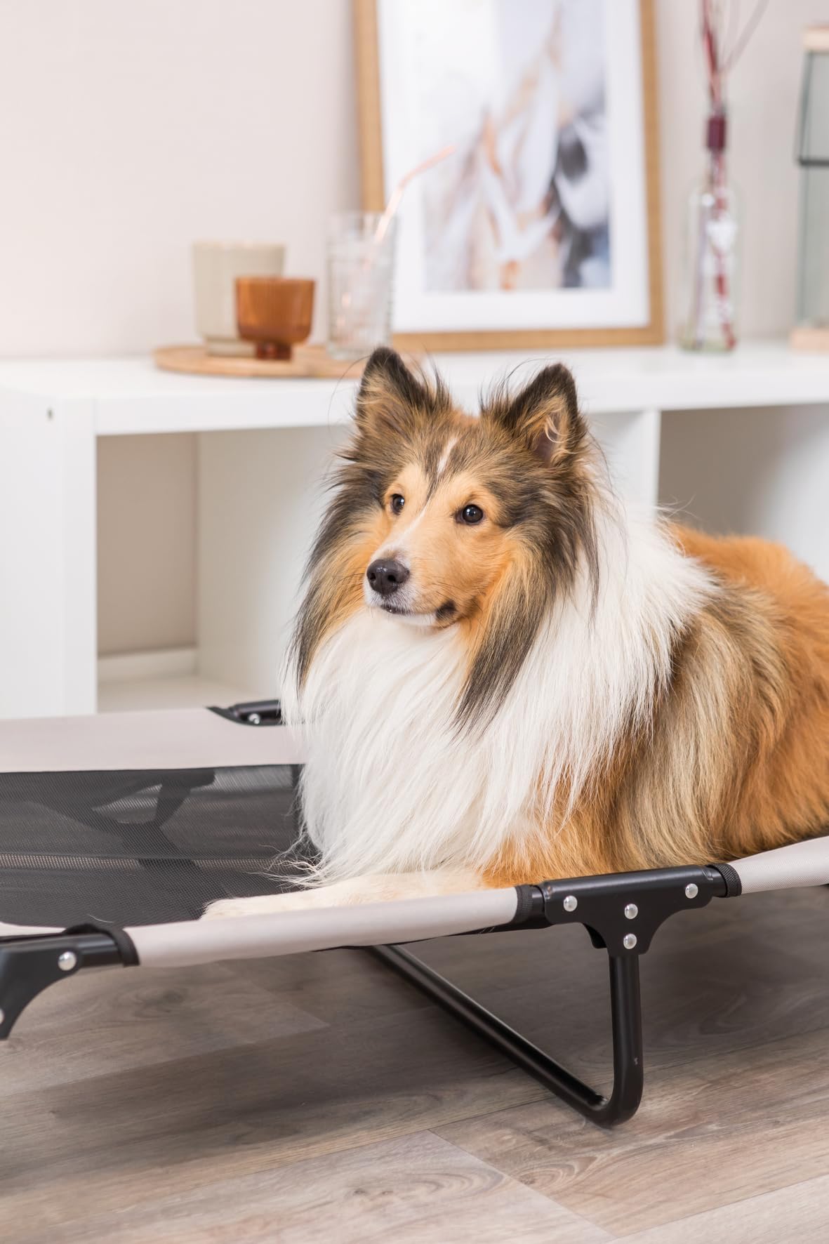TRIXIE lit pour Chien Strong Edition Beige/Noir 79 × 19 × 50 cm Pliable Facile d'Entretien