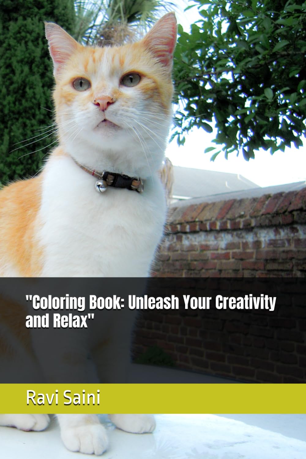 Coloring Book: Unleash Your Creativity and Relax