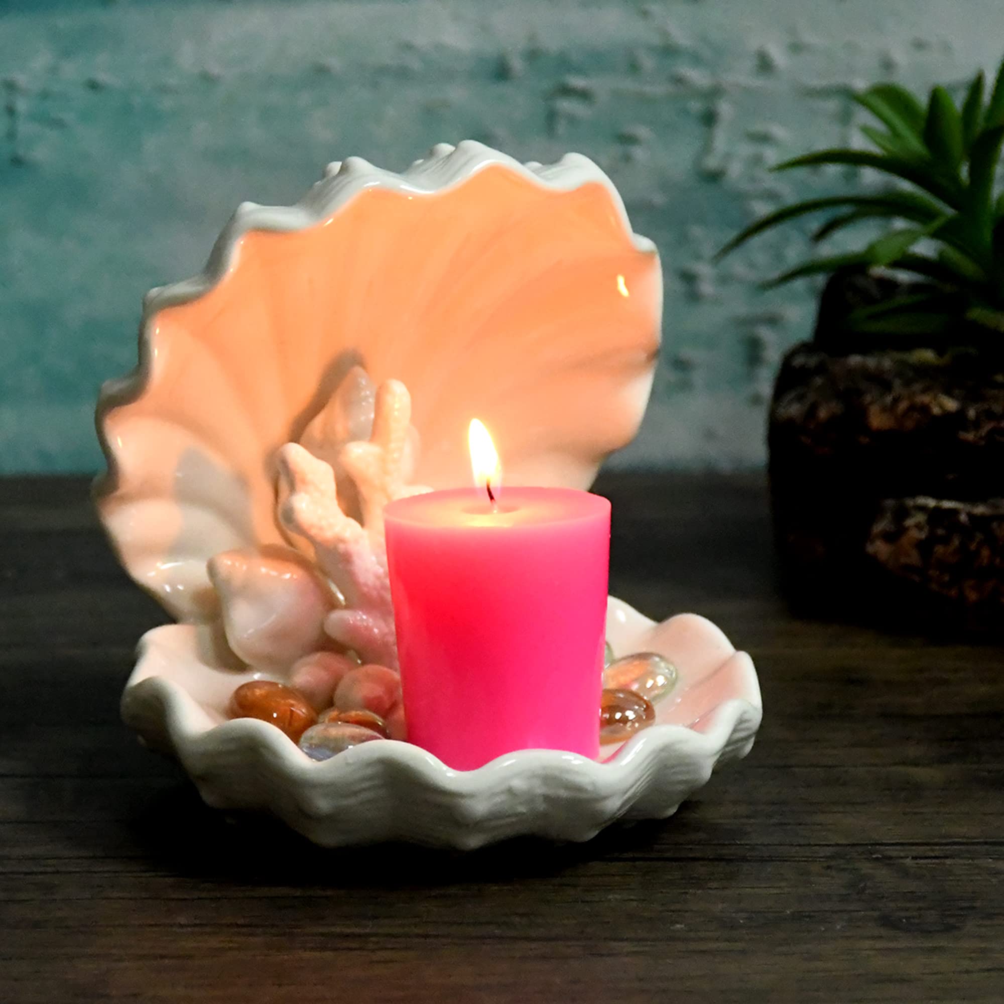 candle✣candle Zest Candle CVZ-007 12-Piece Votive Candles, Hot Pink : Amazon.ca