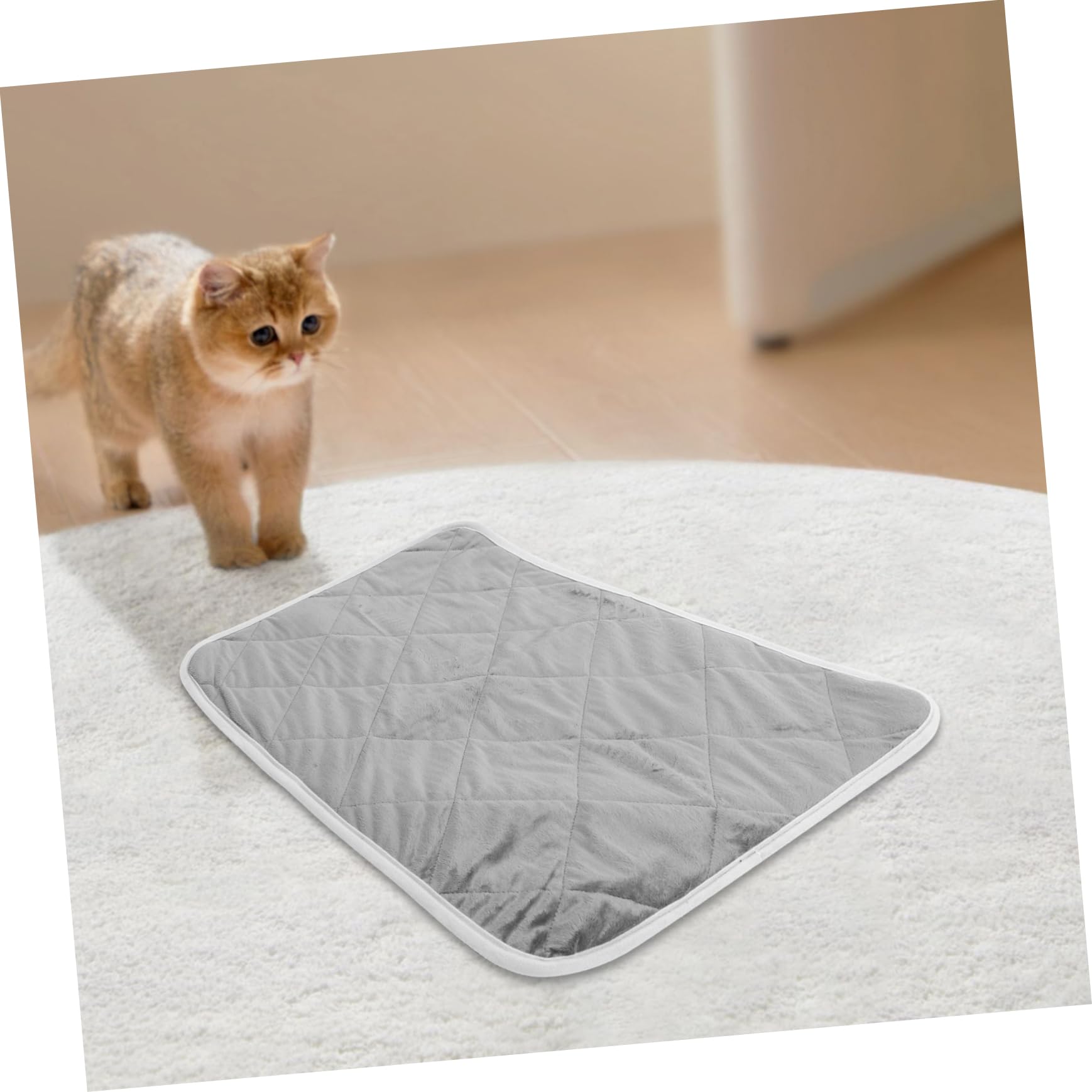 BESTonZON Self Heating Cat Mat Cozy Thermal Dog Crate Pad for Indoor Outdoor Use Lightweight for Cold Weather Heating for Pets