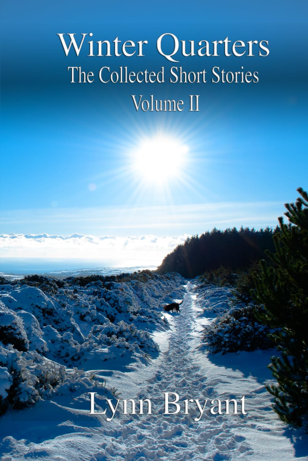 Winter Quarters: The Collected Short Stories Volume II (The Collected Short Stories of Lynn Bryant)