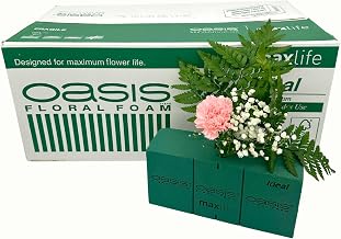 Oasis Floral Foam Box | 20 Individual Flower Foam Blocks | Flower Arranging Foam Bricks for Floristry Flower Displays
