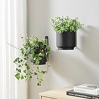 CISEANOL 2 Pack Black Metal Hanging Planters - Wall Ceiling Mount Indoor Outdoor Modern Minimalist 6 Inch Plant Vases