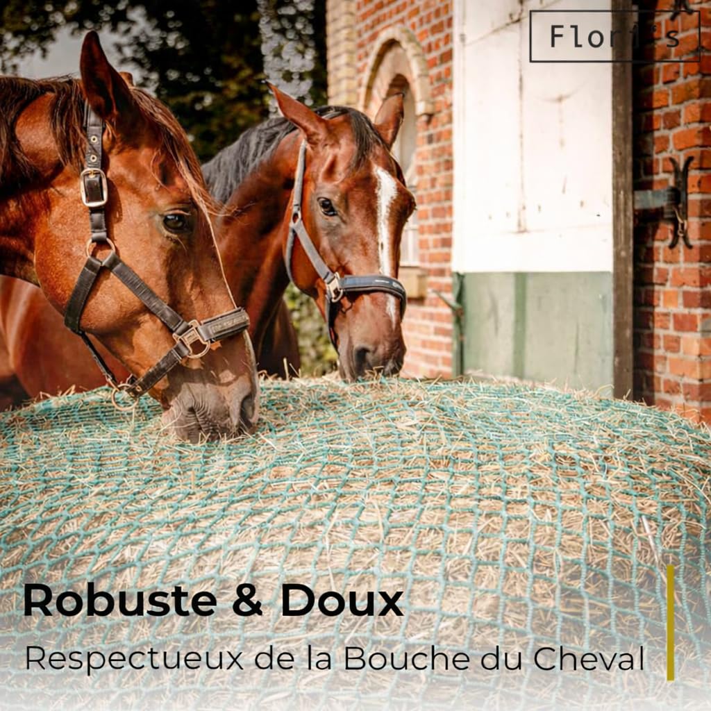 Flori's® Filet à foin pour balles rondes - Diamètre : 150 cm - Hauteur : 150 cm - Largeur des mailles : 4,5 x 4,5 cm - Filet à foin stable pour chevaux pour l'alimentation adaptée à l'espèce - Filet à