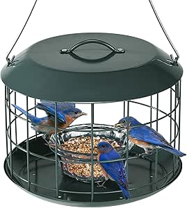 Kingsyard Bluebird Feeders for Outdoors Hanging, All Metal, Cage Bird Feeder with Tray, Squirrel Proof & Weatherproof, Easy to Refill & Clean (Green) asin的图片