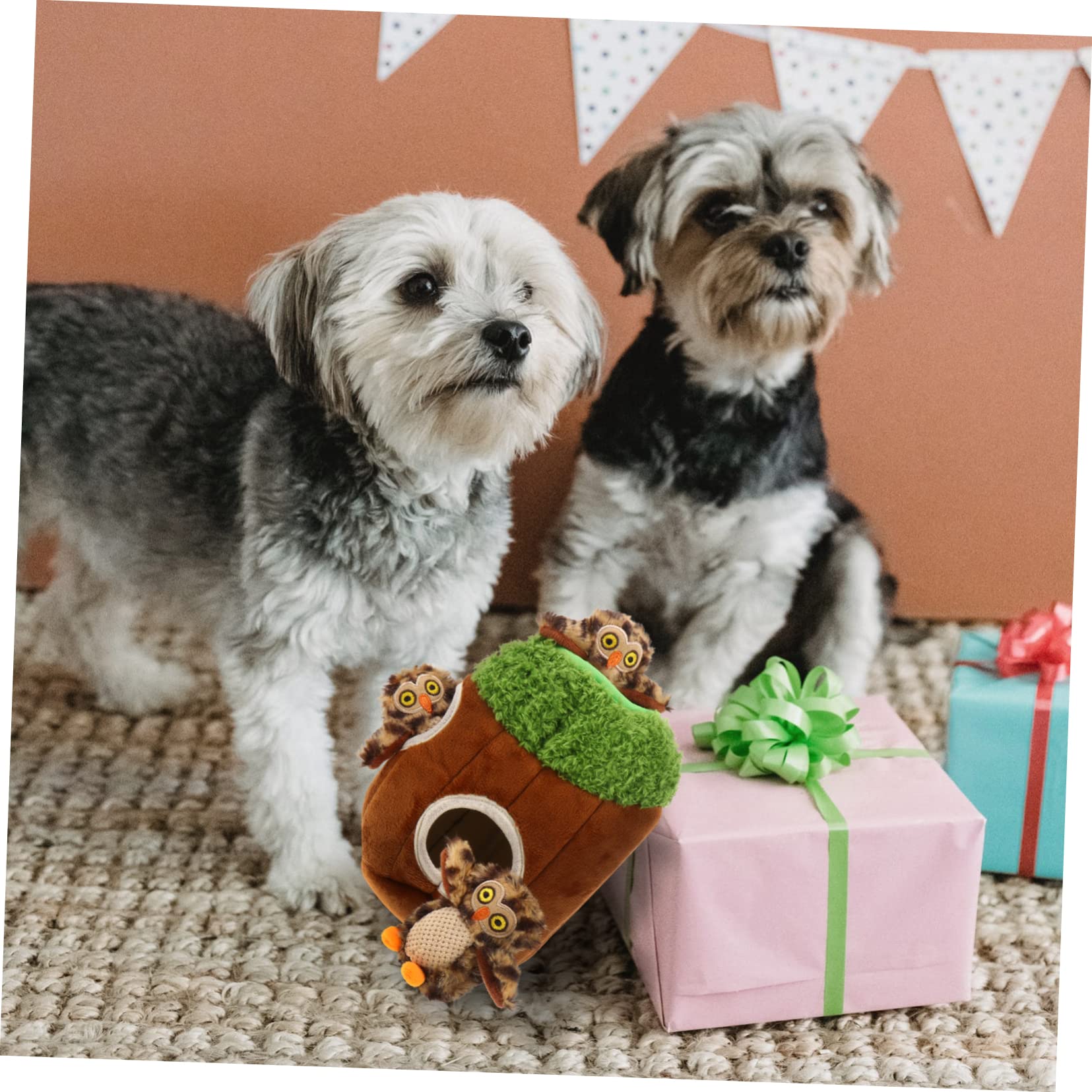 Jouet en Peluche pour Chien à Couinement, Lot de 4, Formes Animaux