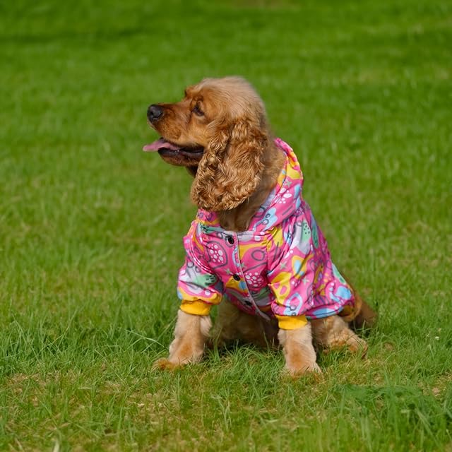 Foto 7 de 8 de IZOCOOL - Chaqueta Tasarim para Perros, Abrigo Impermeable y Reflectante para Clima Frío, con Forro Polar…