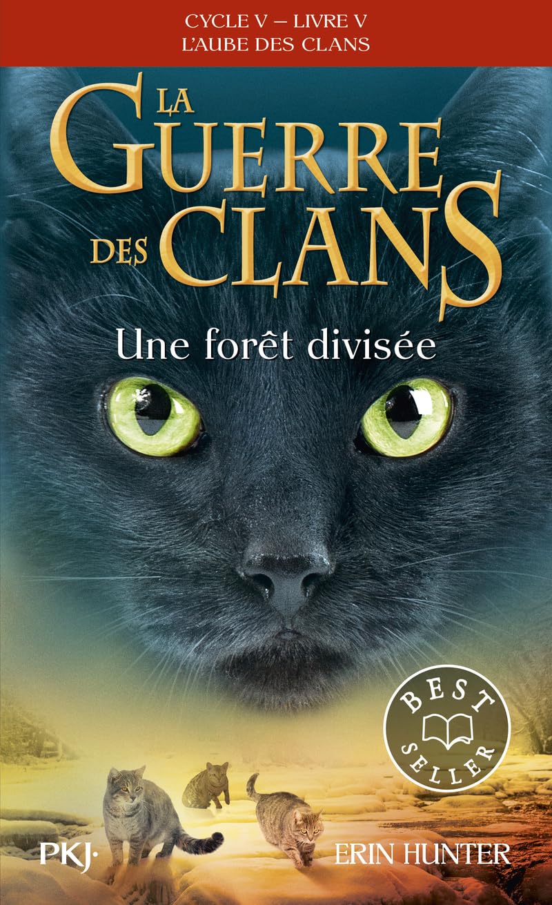La guerre des clans - Cycle V : L'aube des clans - Tome 5 Une forêt divisée (5)