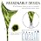 Sunany Female Urination Device,Silicone Pee Funnel for Women,Female Urinal Women Pee Funnel Allows Women to Pee Standing Up, Reusable Womens Urinal is Ideal for Camping,Outdoor ActivitiesColor