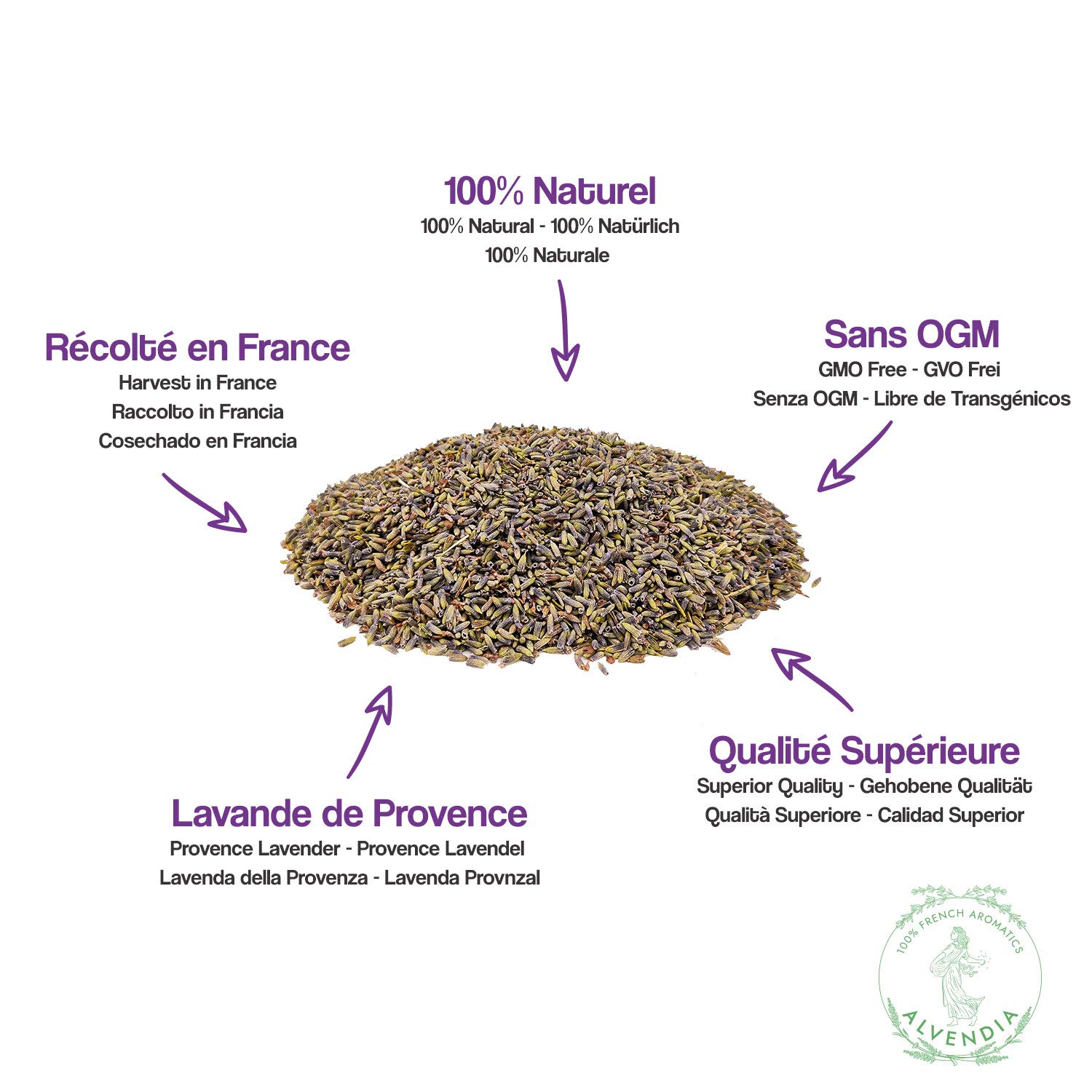 ALVENDIA - Lavanda della Provenza - Raccolto 2024 - Confezione da 1 KG (1000 GR)