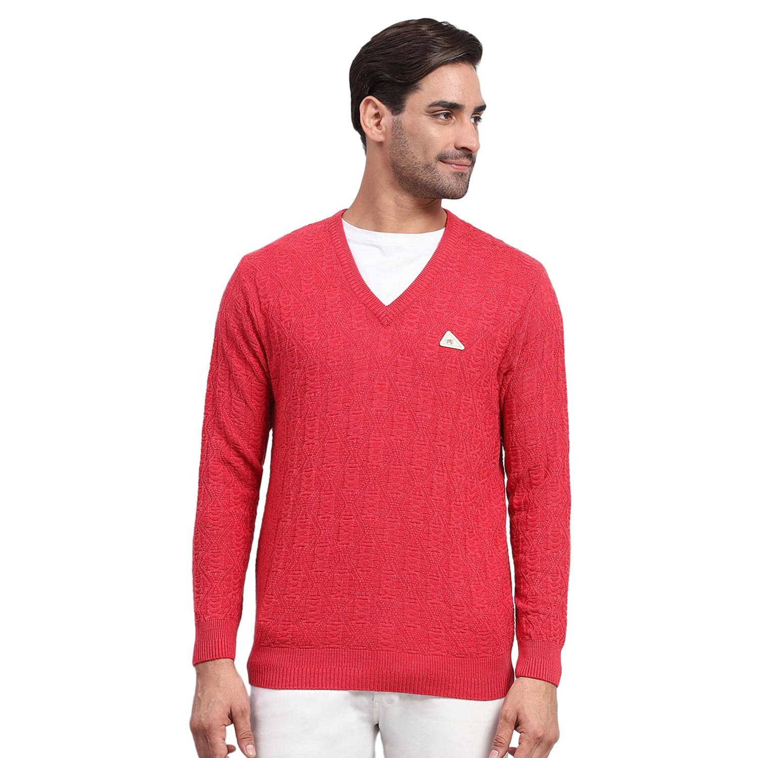 Mens Self Design V Neck Full Sleeve Pullover (1243139VN)