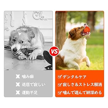 音がなるわんこ Amazon | ウィルインターナショナル 犬用おもちゃ デンタル