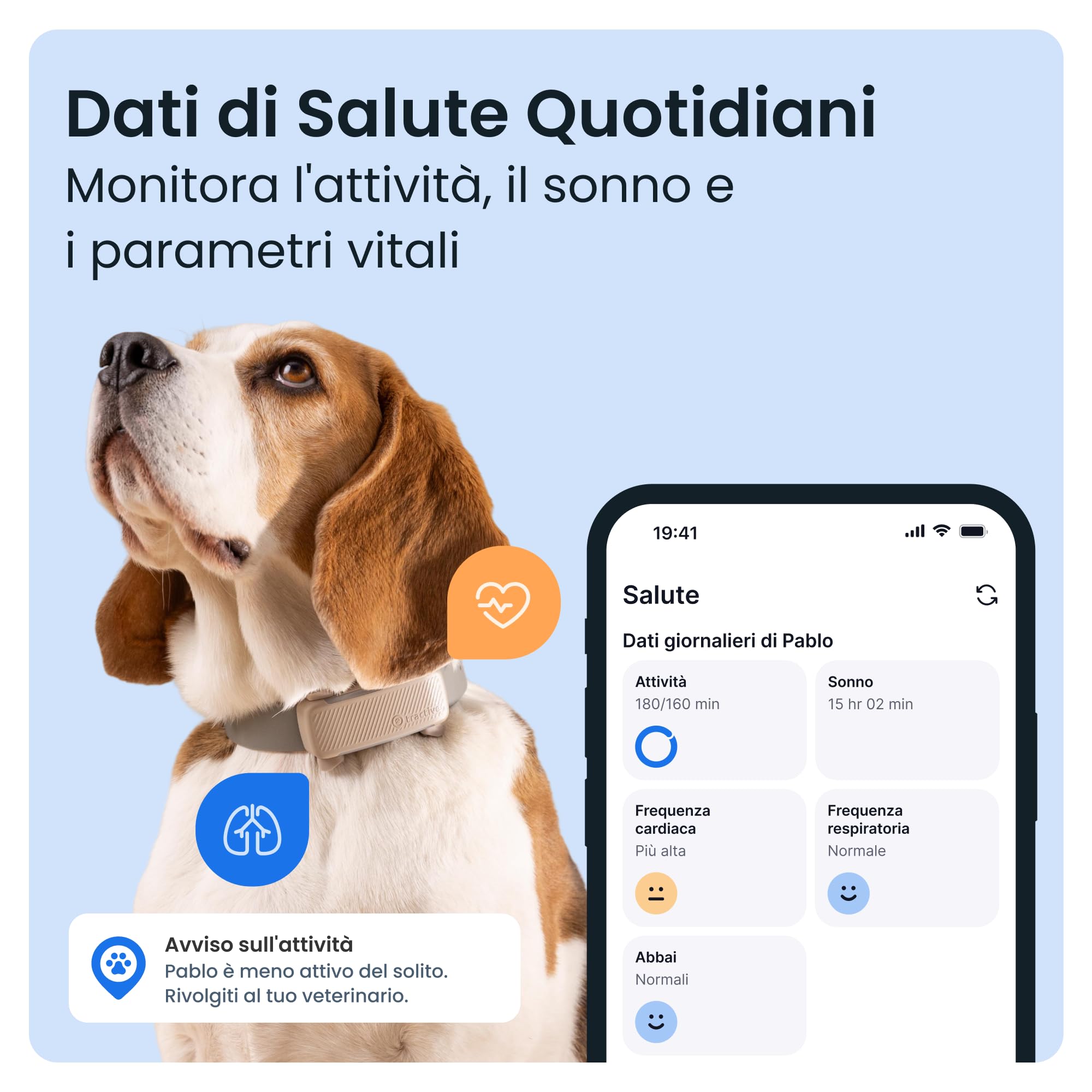 Tractive - GPS per cani | 2025 Edizione | N. 1 sul mercato | Localizzazione in tempo reale | Notifiche antifuga | Monitoraggio dell'attività | Avvisi di salute | Monitoraggio degli abbai (Marrone)