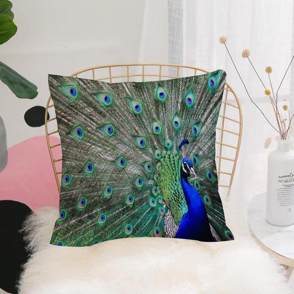 Hyosxw Men's Peacock Displays The Beautiful Colors O - A10 Cushion Cover,Throw Pillow Case Home Decorative For Living Room Bedroom Sofa Chair 18X18 Inch, Peacock Displays The Beautiful Colors Of Its Green Feathers And Defeats Pa,Pillowcase 45X45cm