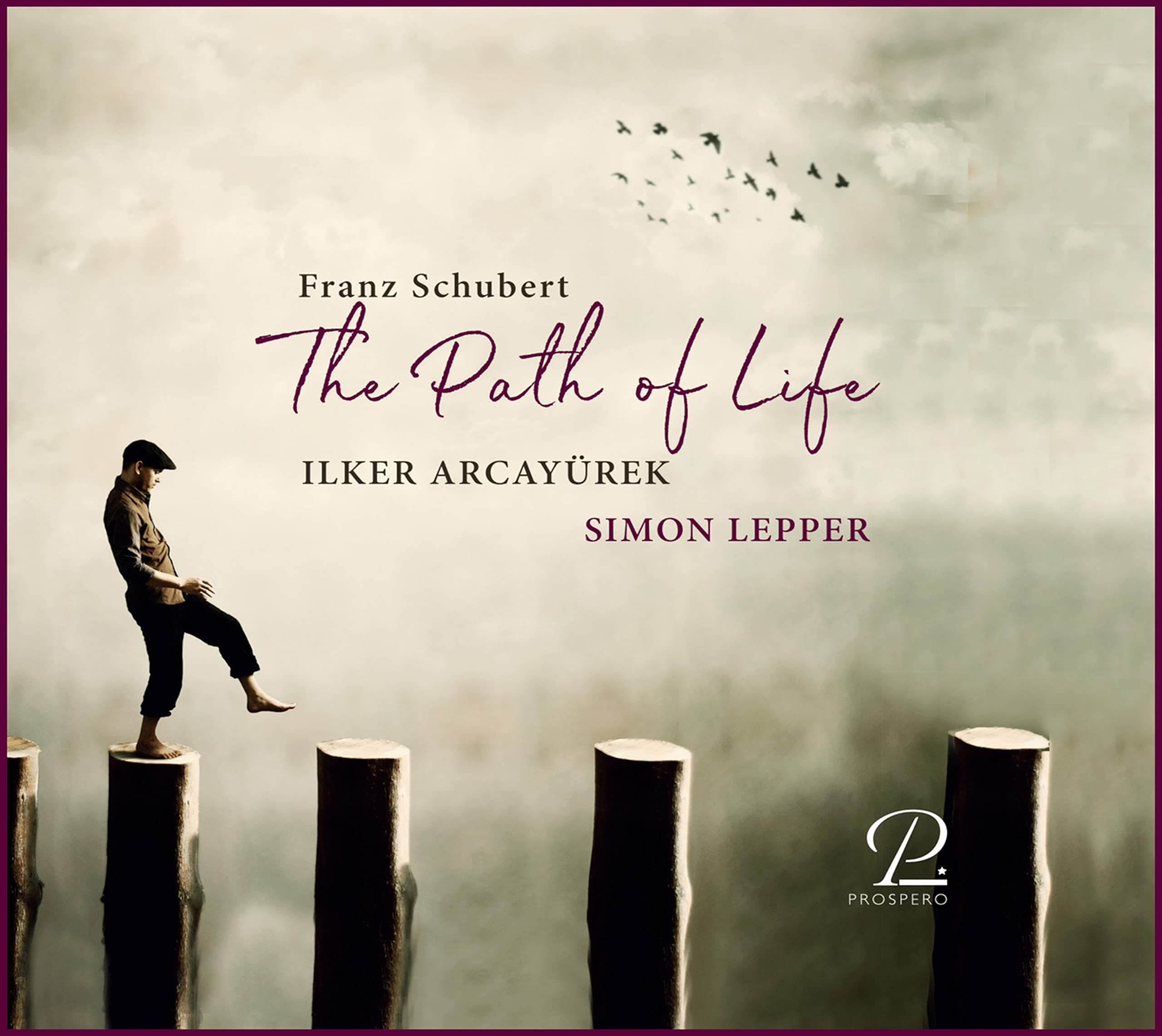 Franz Schubert: The Path Of Life