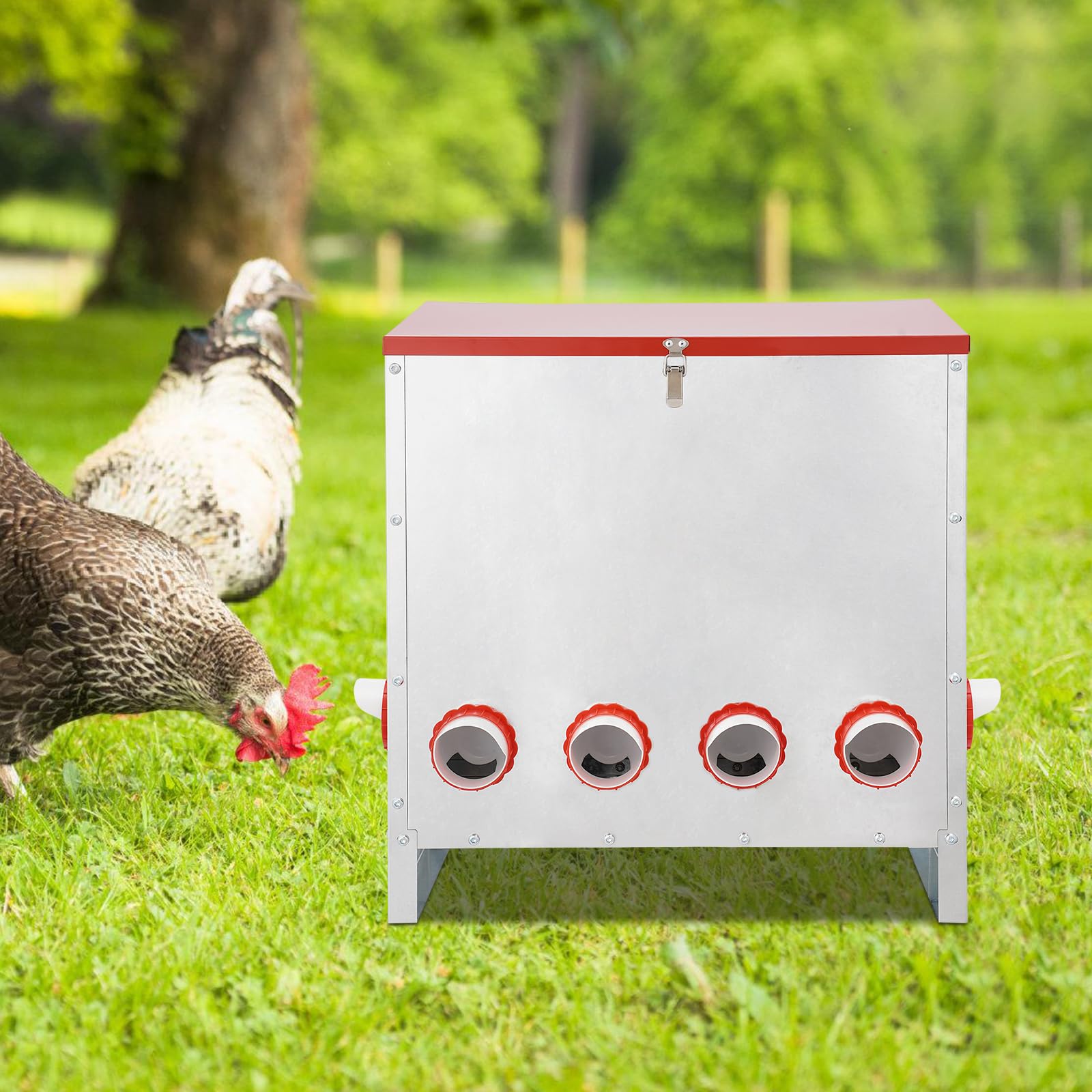 Alimentador de aves de corral galvanizado de gran capacidad, automático para pollos y patos, sin diseño de residuos, para alimentar hasta 10 pollos o pavos al aire libre con tapa (30 kg)