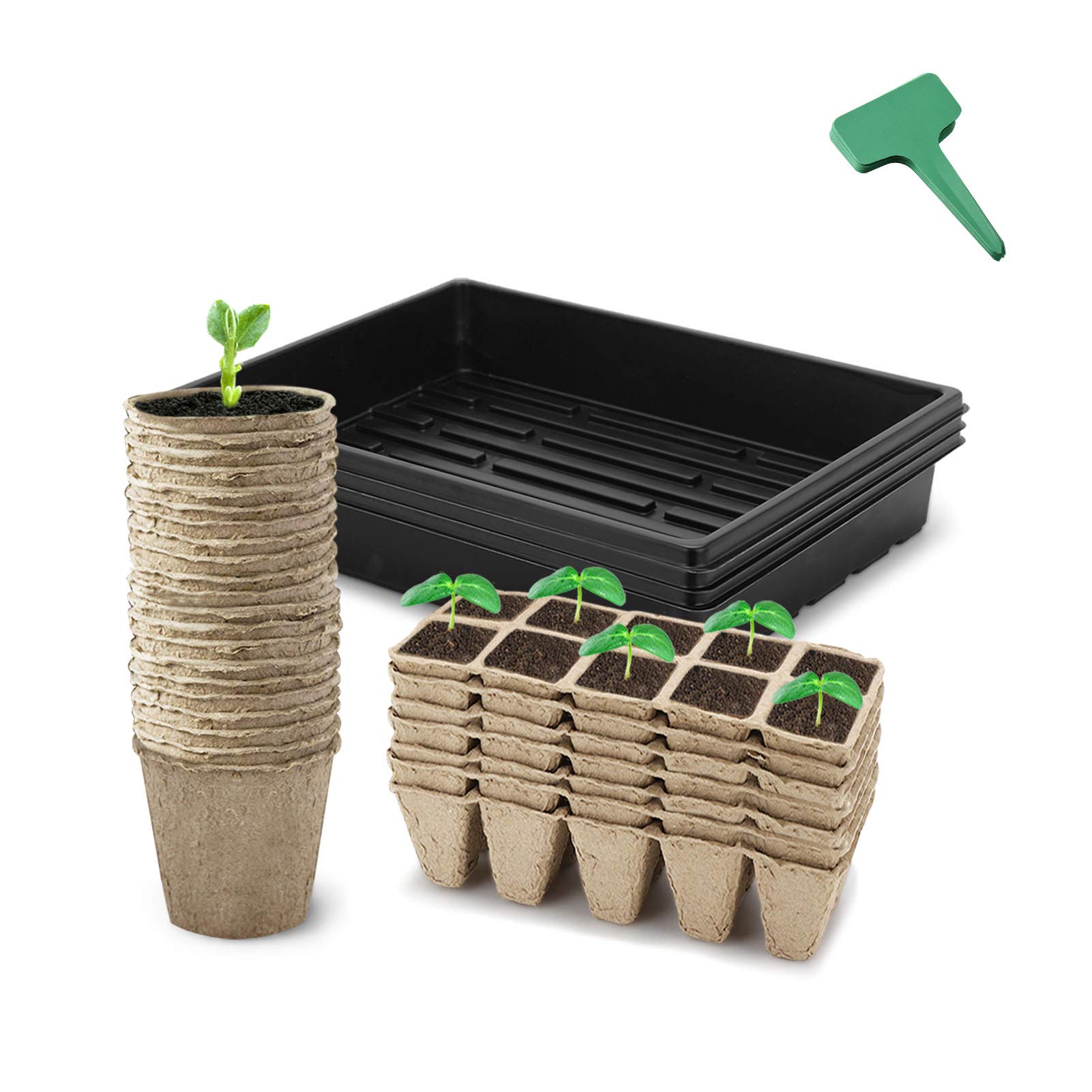 Seed Starter Kit Propagator Plant Grow Kit, 3 Inches Peat Pots, 80 Cells Peat Trays, 15x11 Inches Growing Trays, 15 Packs Plant Labels, Plant Cultivation Set for Classrooms Greenhouse