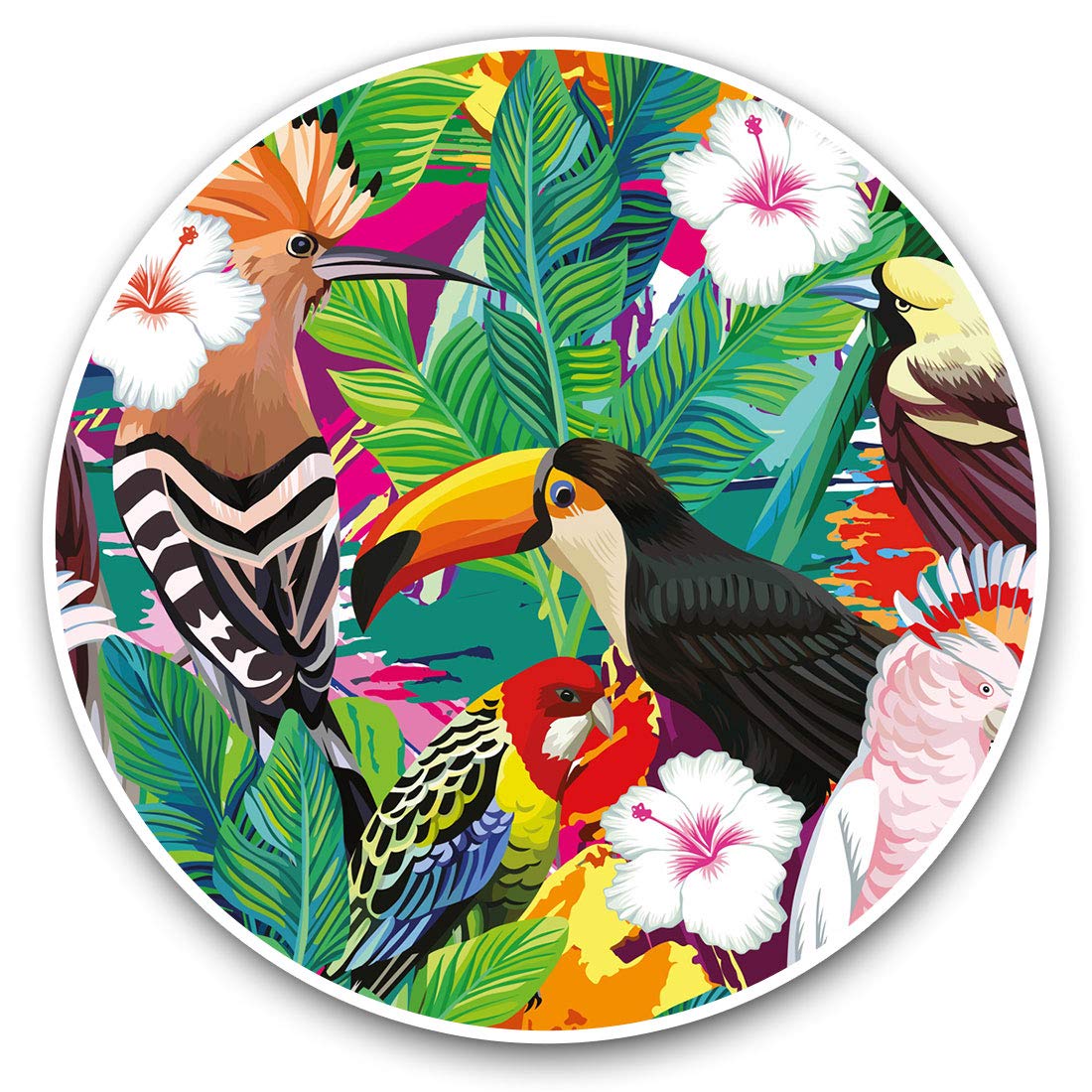 Impresionantes pegatinas de vinilo (juego de 2) 7.5 cm – Impresionantes aves tropicales animales exóticos divertidos calcomanías para portátiles, tabletas, equipaje, neveras, regalo genial #8786