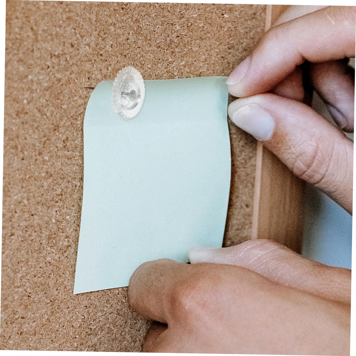 HOMSFOU 800piezas Chinchetas Transparentes para Corcho Pinchos De Oficina y Manualidades para Tableros De Anuncios y Decoración De Paredes