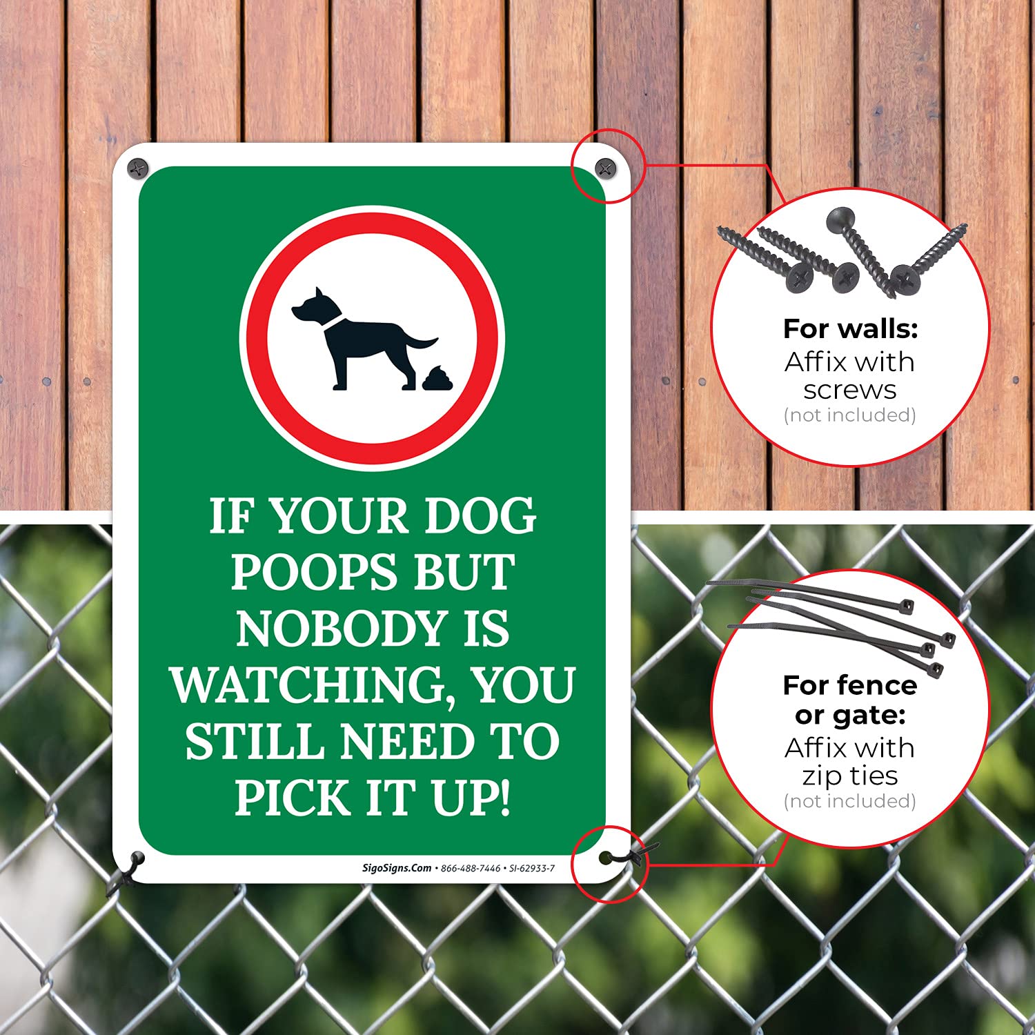 Why Dogs Watch You Poop